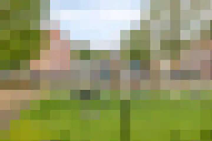 Stationslaan 14 Goor thumbnail 34