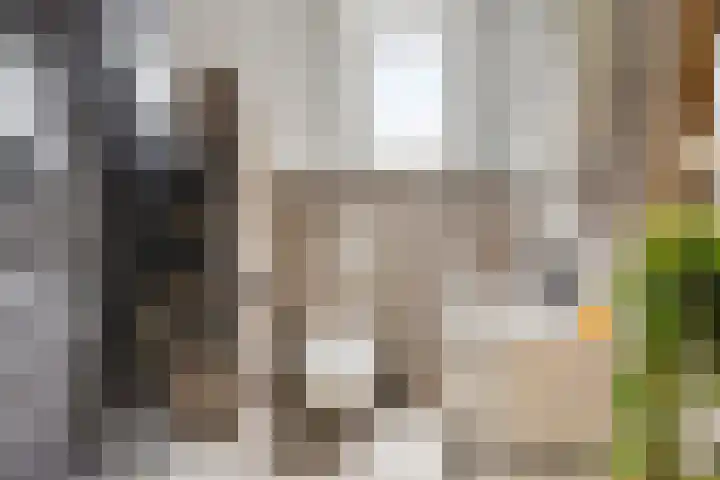 Stationslaan 14 Goor thumbnail 4