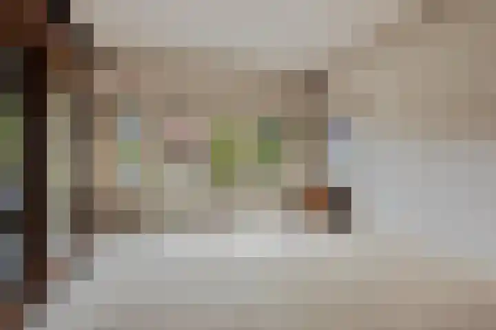 Stationslaan 14 Zeist thumbnail 19