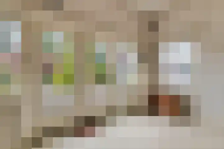 Stationslaan 14 Zeist thumbnail 20