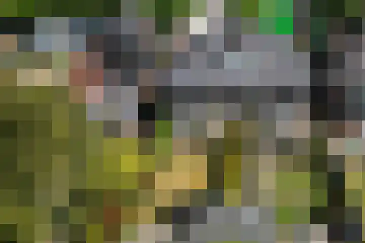 Stationslaan 14 Zeist thumbnail 32