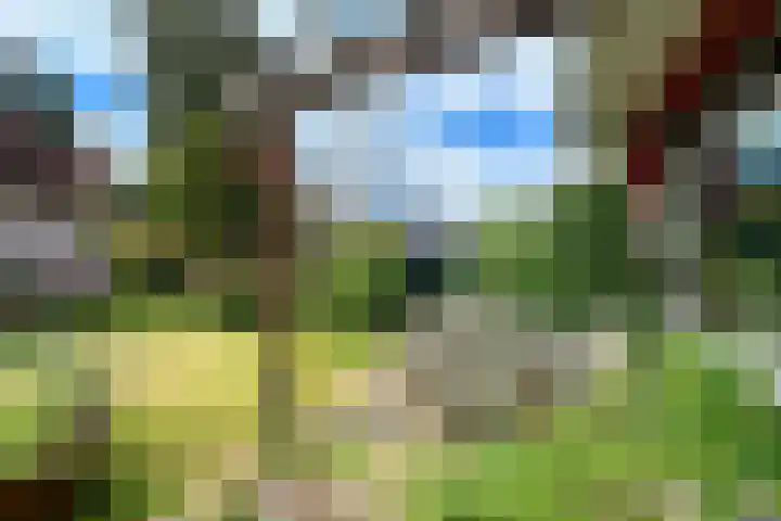 Stationslaan 14 Zeist thumbnail 33