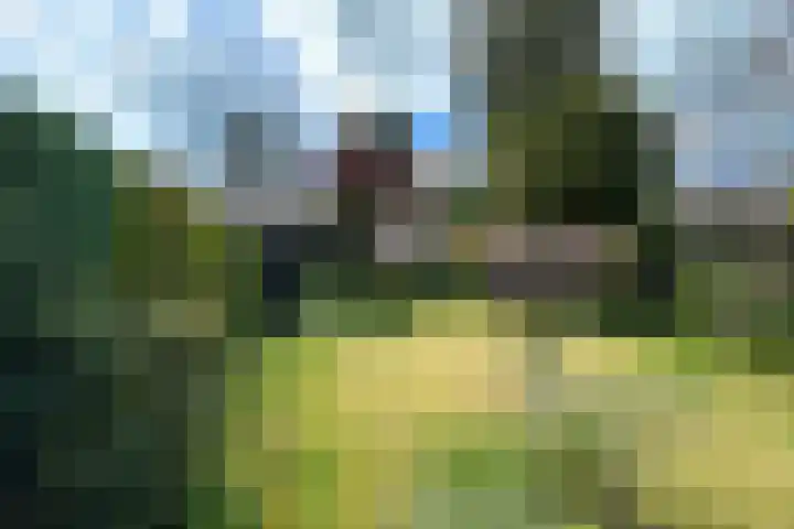 Stationslaan 14 Zeist thumbnail 34