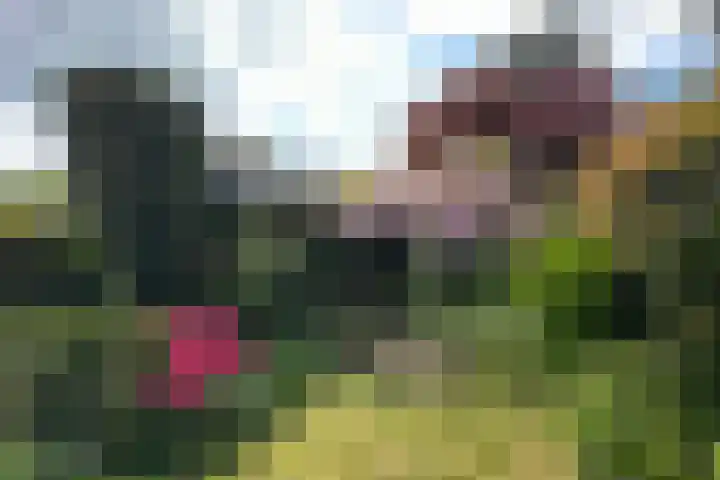 Stationslaan 14 Zeist thumbnail 35