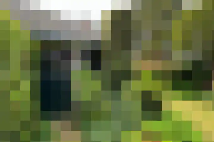Stationslaan 14 Zeist thumbnail 38