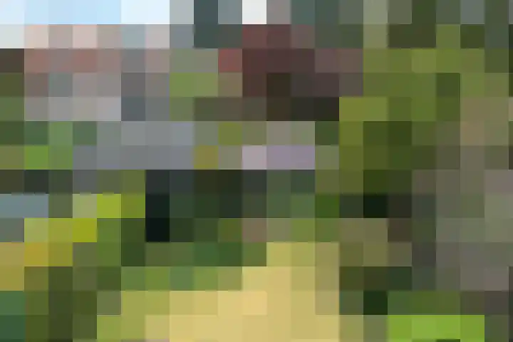 Stationslaan 14 Zeist thumbnail 40