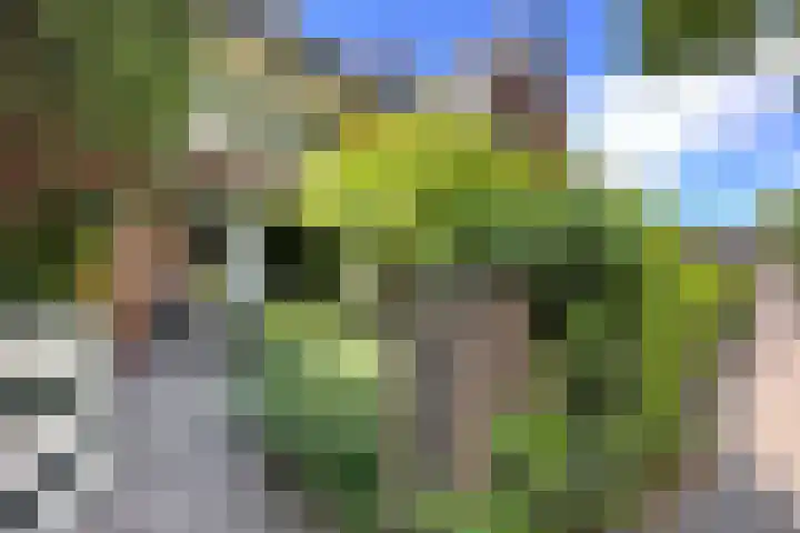 Stationslaan 14 Zeist thumbnail 41