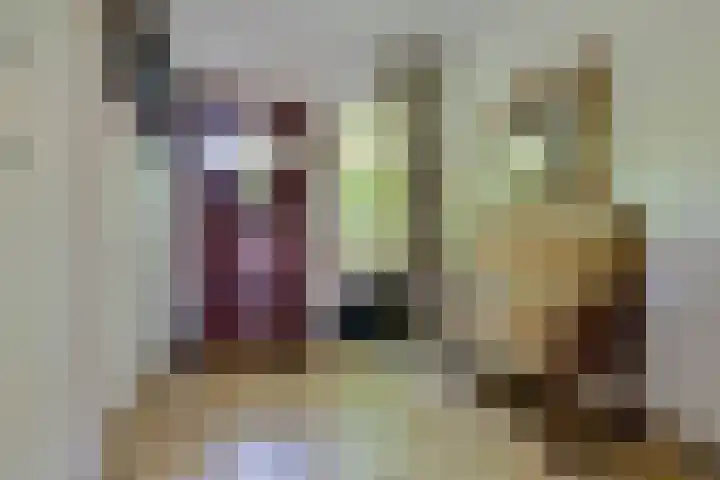 Stationslaan 14 Zeist thumbnail 6
