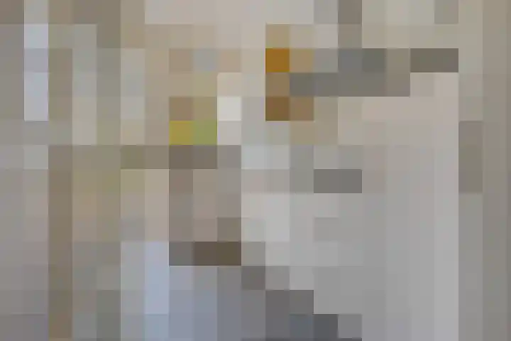 Stationslaan 16 Zeist thumbnail 12