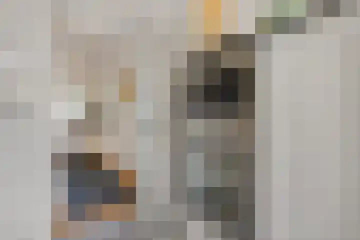 Stationslaan 16 Zeist thumbnail 13