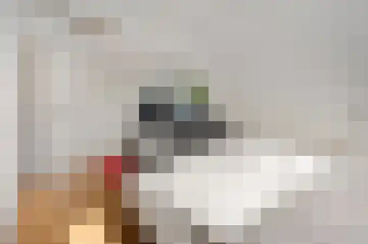 Stationslaan 16 Zeist thumbnail 25