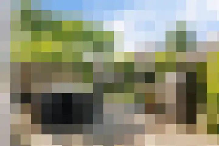 Stationslaan 16 Zeist thumbnail 30