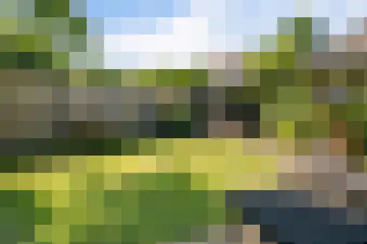 Stationslaan 16 Zeist thumbnail 31