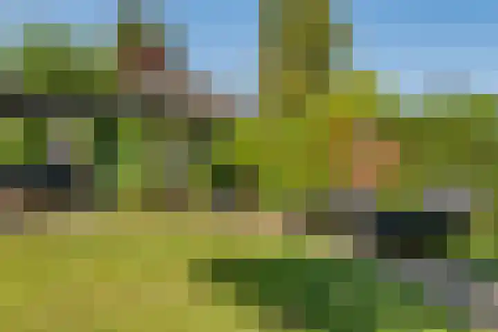 Stationslaan 16 Zeist thumbnail 32