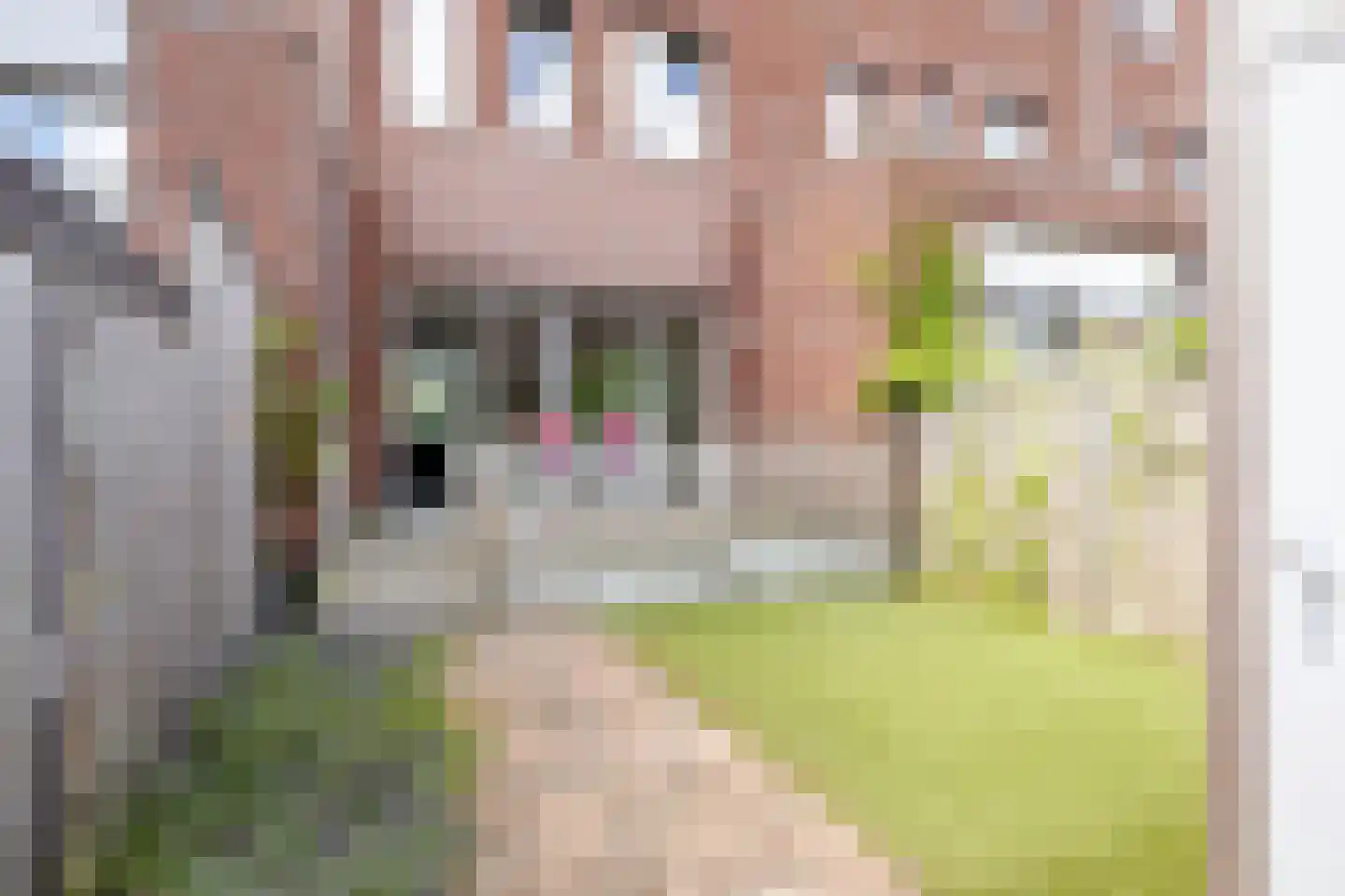 Stationslaan 19 Breda thumbnail 27