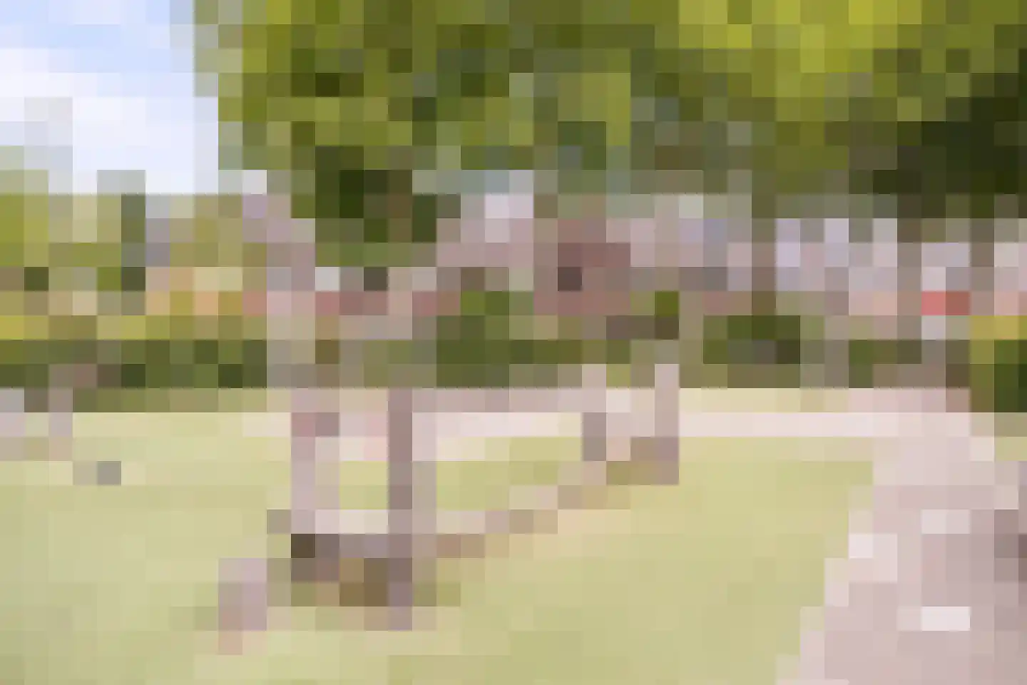 Stationslaan 19 Breda thumbnail 33