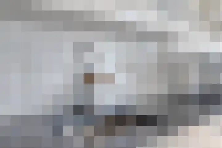 Stationslaan 25 Harderwijk thumbnail 21