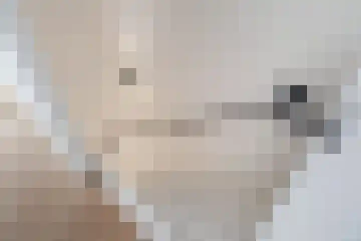 Stationslaan 5 C10 Breda thumbnail 25