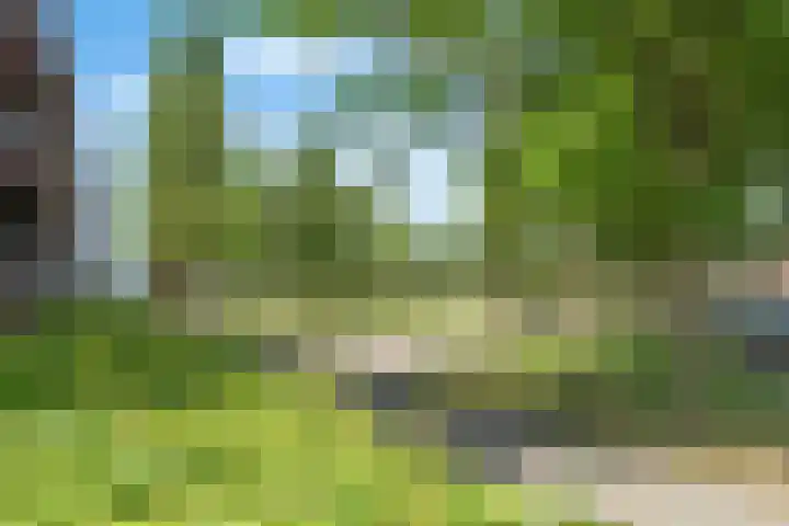 Stationslaan 5 C10 Breda thumbnail 46