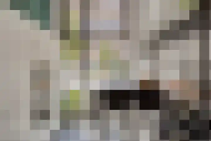 Stationslaan 51 Breda thumbnail 12