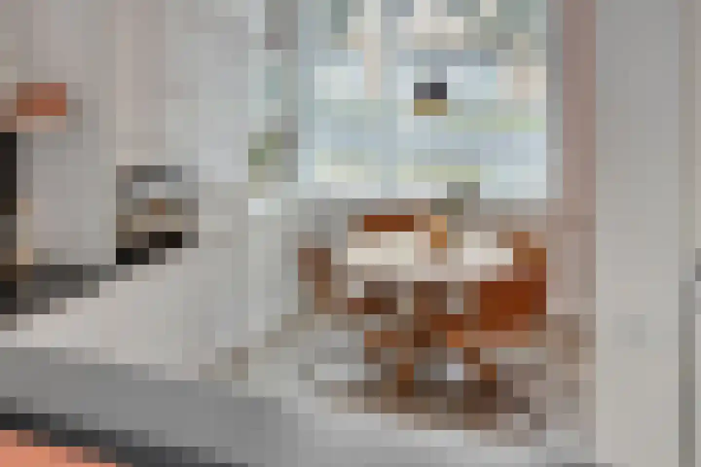 Stationslaan 53 Breda thumbnail 13