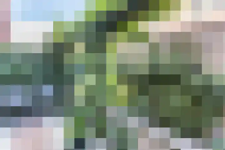 Stationslaan 59 Breda thumbnail 26