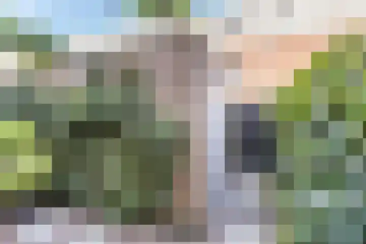 Stationslaan 59 Breda thumbnail 29