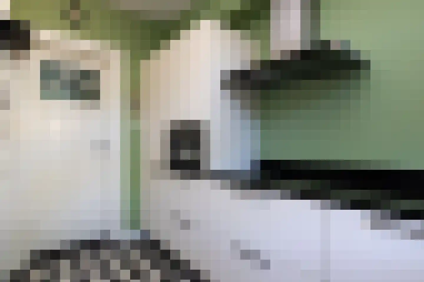 Stationslaan 61 Nunspeet thumbnail 25