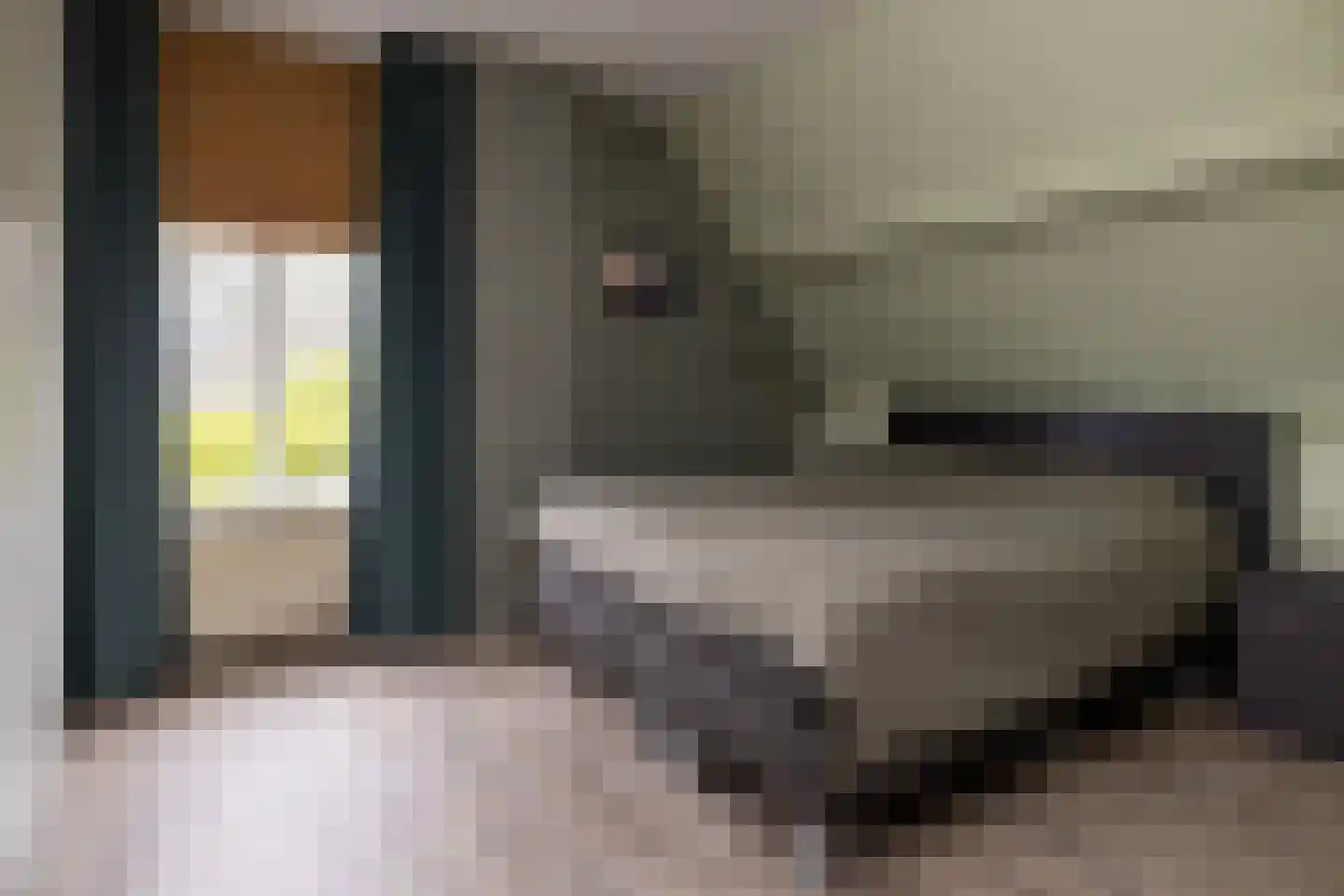 Stationslaan 61 Nunspeet thumbnail 33