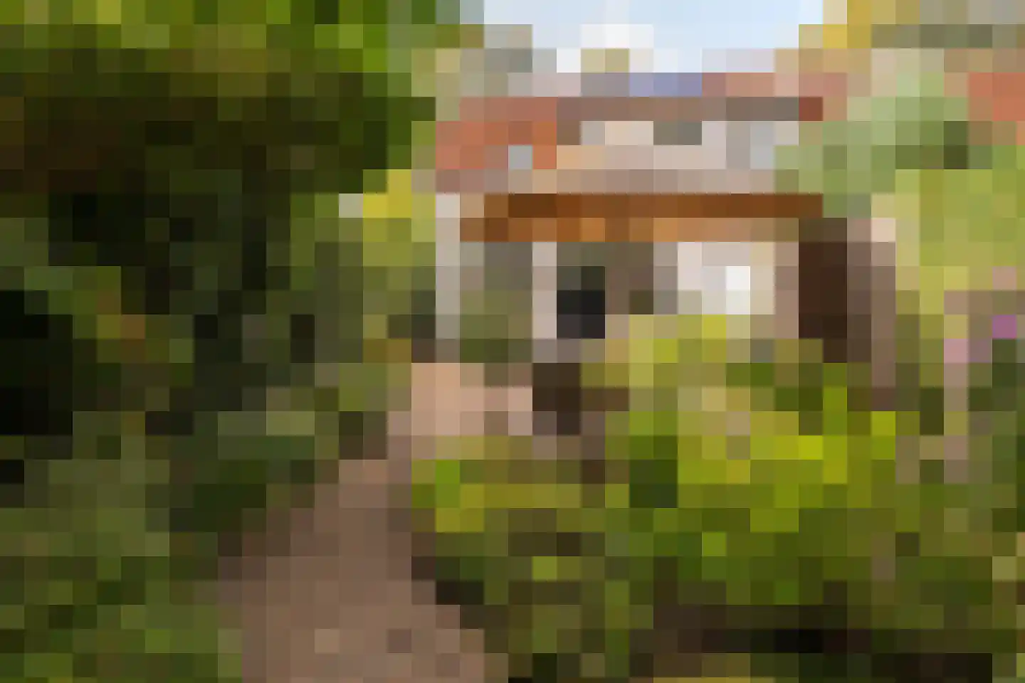 Stationslaan 61 Nunspeet thumbnail 43
