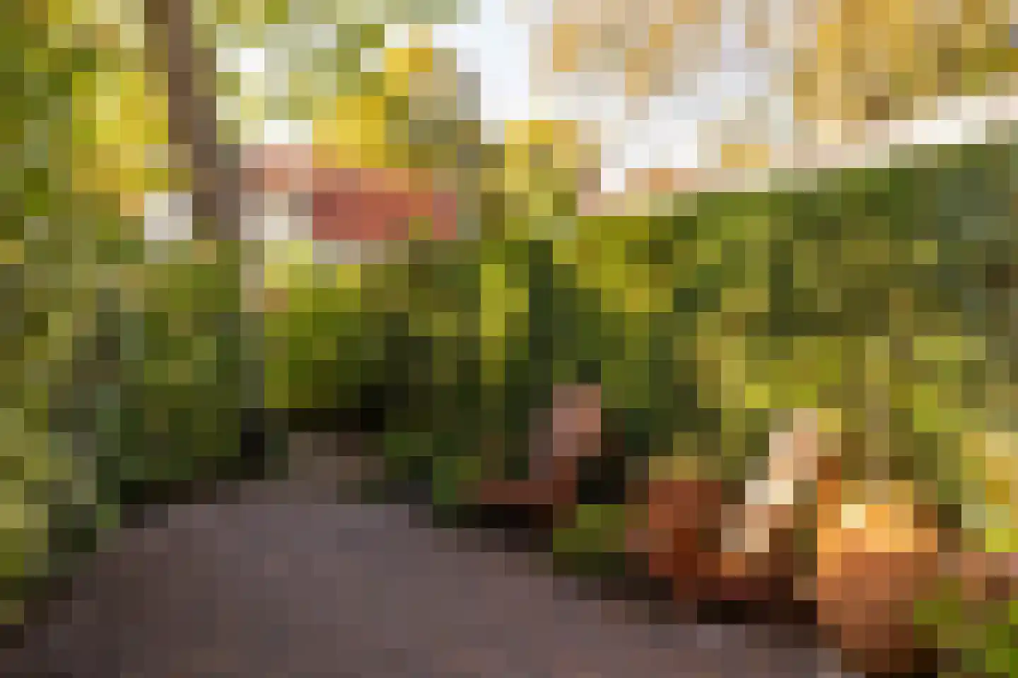 Stationslaan 61 Nunspeet thumbnail 44