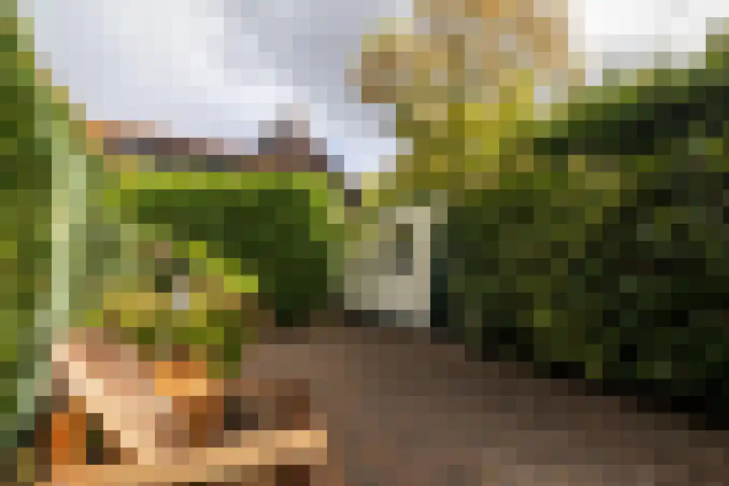 Stationslaan 61 Nunspeet thumbnail 46