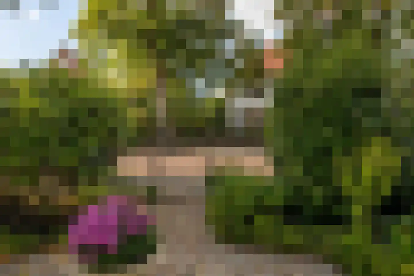 Stationslaan 61 Nunspeet thumbnail 8