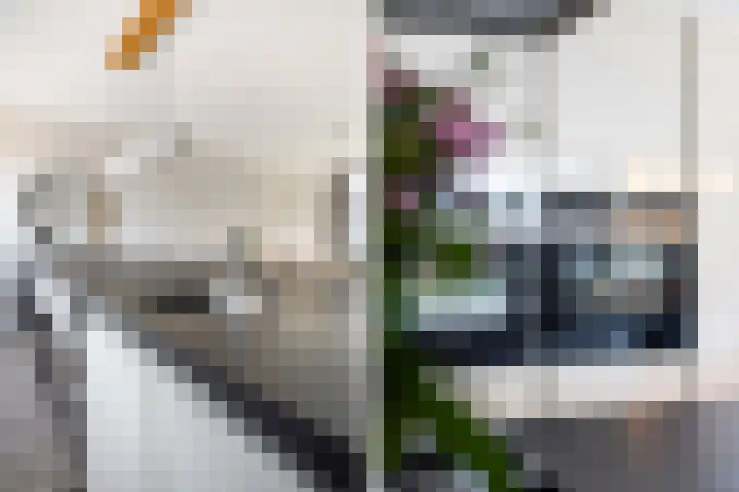 Stationslaan 65 C2 Breda thumbnail 20