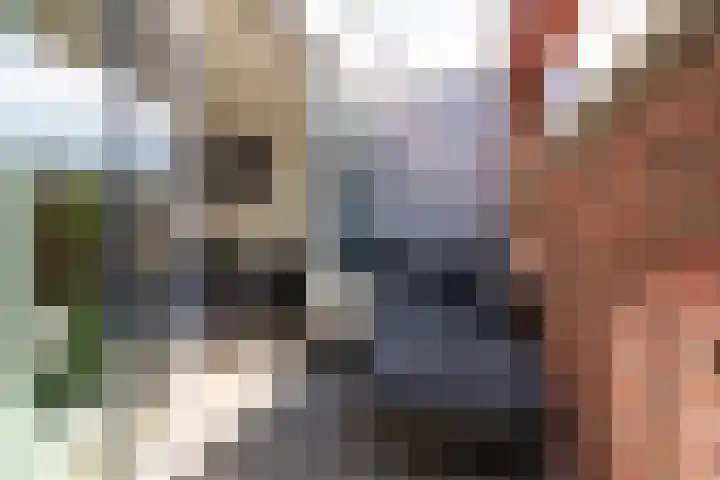 Stationslaan 65 C6 Breda thumbnail 14