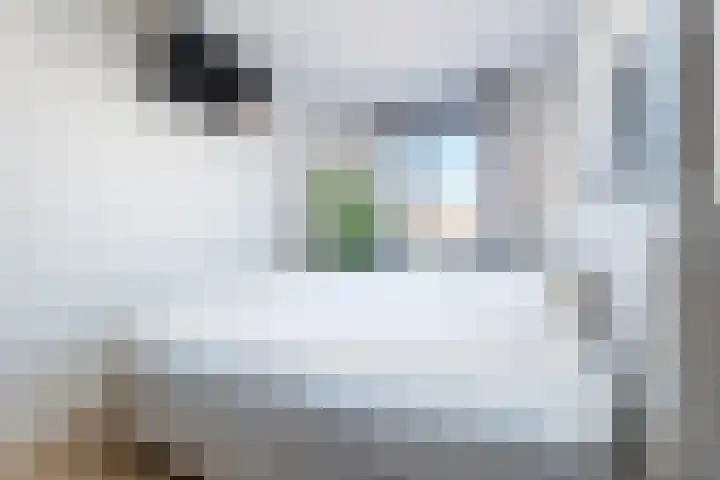 Stationslaan 65 C6 Breda thumbnail 19