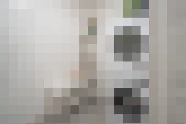 Stationslaan 65 C6 Breda thumbnail 22