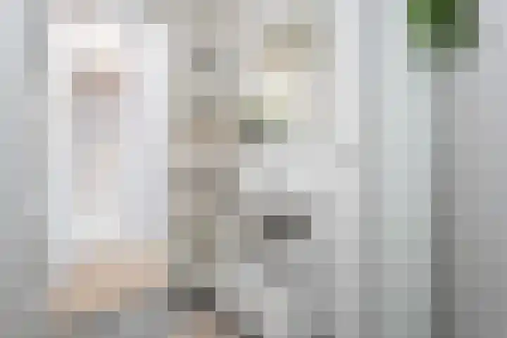 Stationslaan 65 C6 Breda thumbnail 23