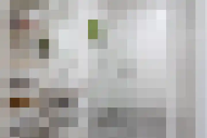 Stationslaan 65 C6 Breda thumbnail 4