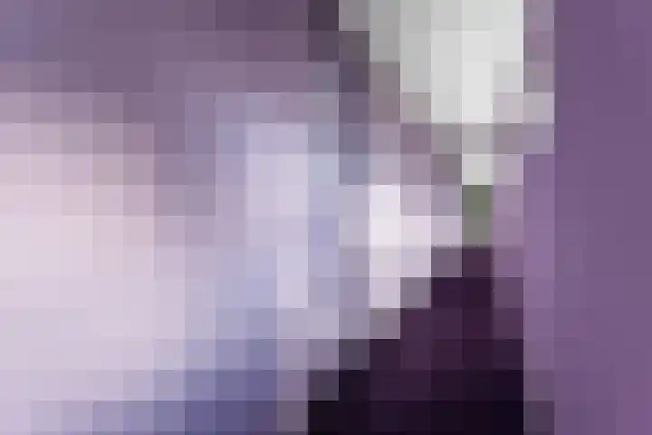 Stationslaan 65 C6 Breda thumbnail 7