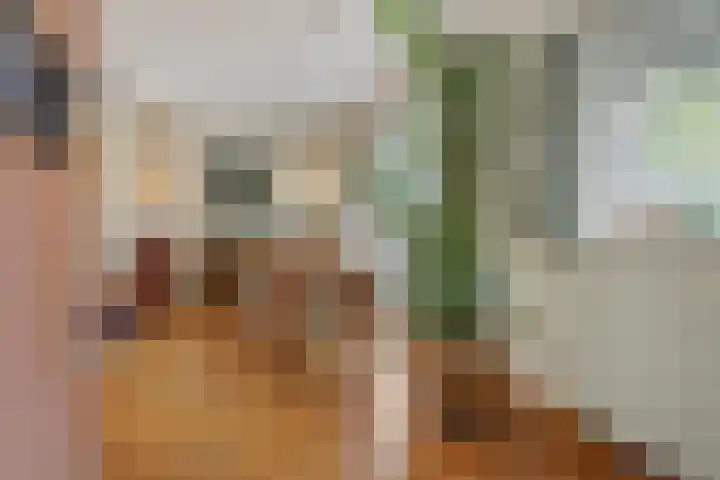 Stationslaan 7 Deurne thumbnail 18