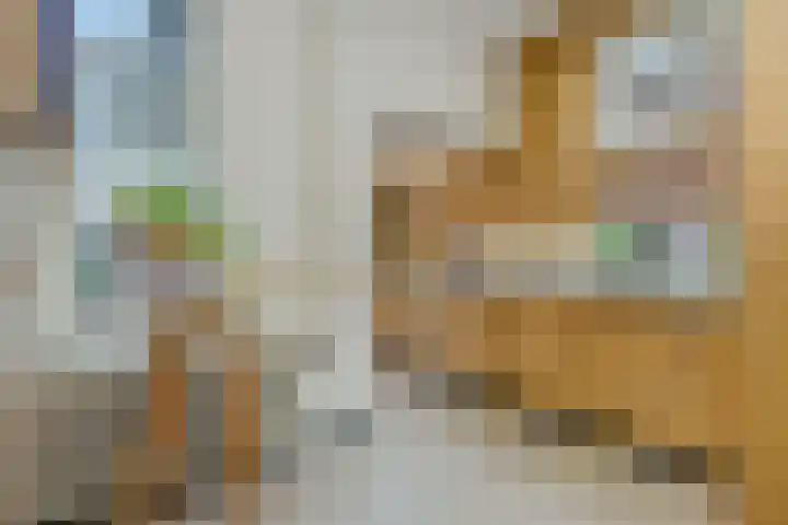 Stationslaan 7 Deurne thumbnail 21