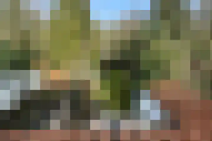 Stationslaan 7 Deurne thumbnail 48