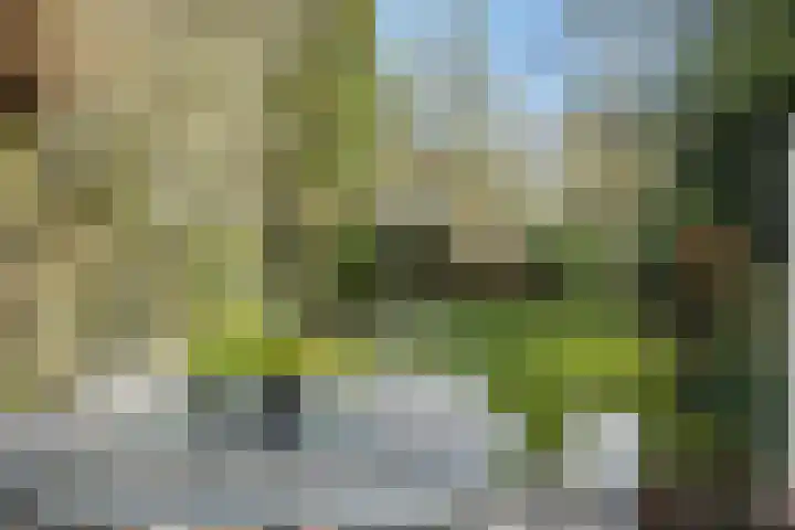 Stationslaan 7 Deurne thumbnail 52
