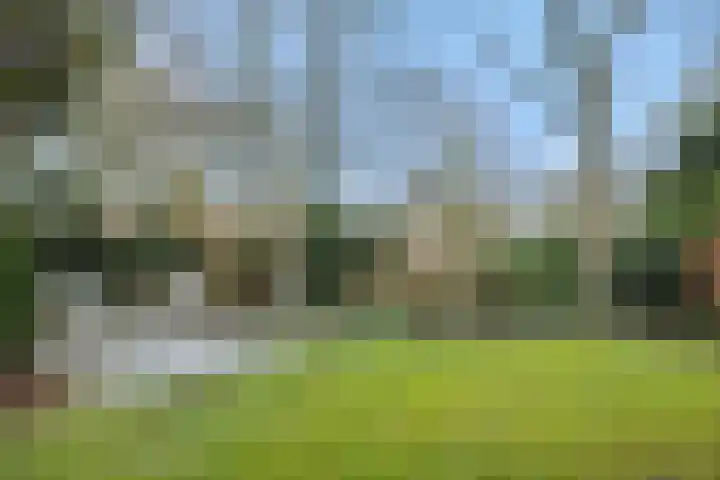 Stationslaan 7 Deurne thumbnail 54