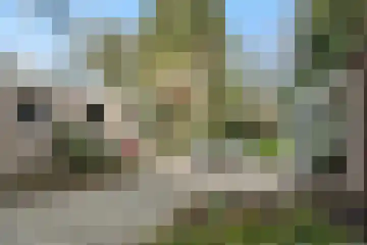 Stationslaan 7 Deurne thumbnail 56