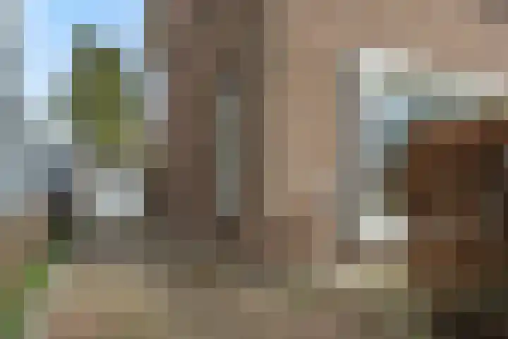 Stationslaan 7 Deurne thumbnail 57