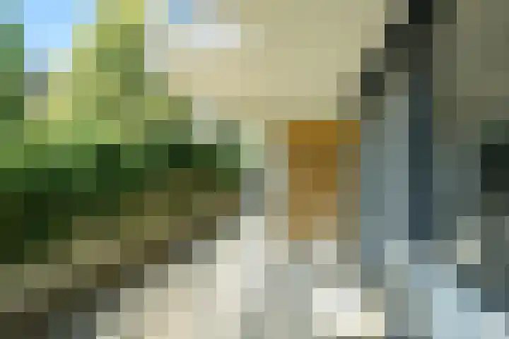 Stationsplein 10 Breda thumbnail 5