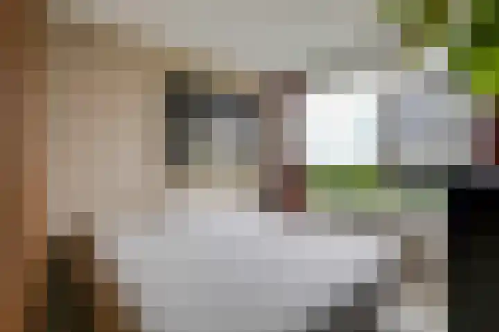 Stationsplein 106 Velp thumbnail 16