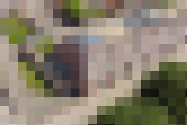 Stationsplein 112 Cuijk thumbnail 5